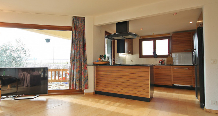 Magnifique villa 10p/ 5 chambres + appartement séparé/ jardin-piscine image 6