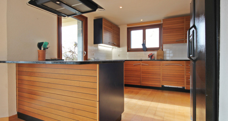 Magnifique villa 10p/ 5 chambres + appartement séparé/ jardin-piscine image 7