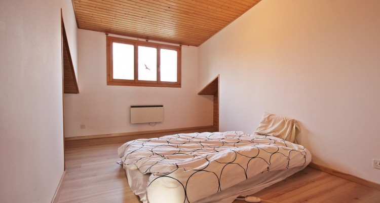 Magnifique villa 10p/ 5 chambres + appartement séparé/ jardin-piscine image 8