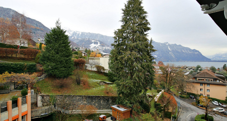 Magnifique appart 3,5 p / 2 chambres / 1 SDB / balcon vue lac image 7