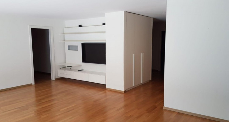 Magnifique appartement  près du lac Léman à Coppet image 3