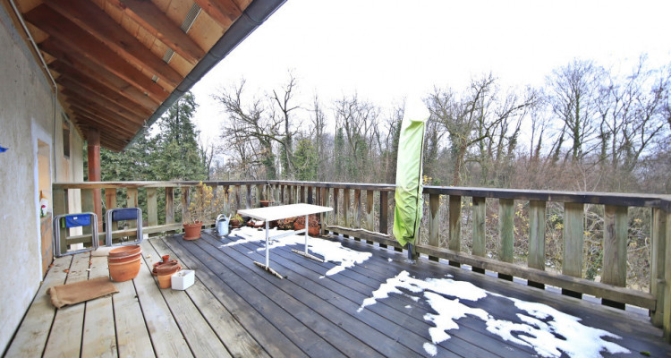 Magnifique 4,5p // 3 chambres // jardin partagé + terrasse image 8