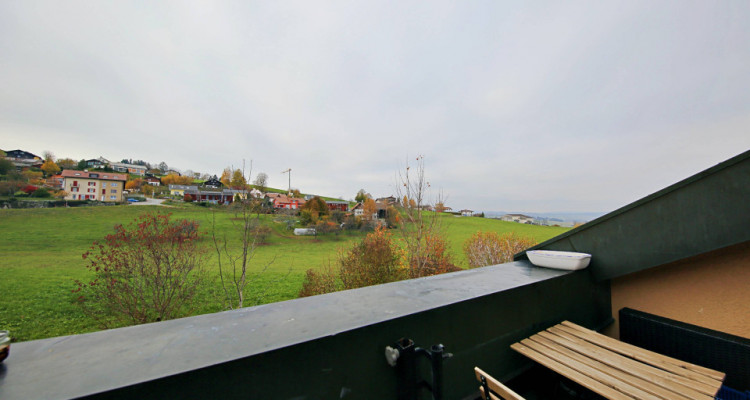 Magnifique appart 3,5 p / 2 chambres / 1 SDB / avec balcon. image 7