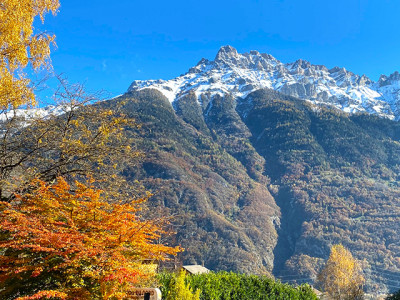 EVIONNAZ - REZ-DE-JARDIN NEUF - 2.5 PIECES - 9131111 image 4