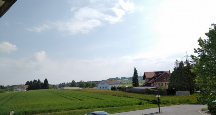 Calme et lumineux appartement de 4,5 pièces à Brétigny-sur-Morrens image 5