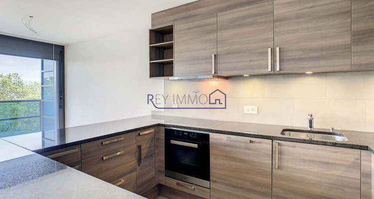 En Exclusivité ! Appartement avec terrasse & vue lac  image 2