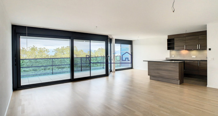 En Exclusivité ! Appartement avec terrasse & vue lac  image 3