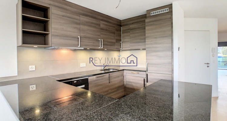 En Exclusivité ! Appartement avec terrasse & vue lac  image 4