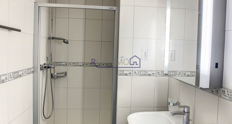 En Exclusivité ! Appartement avec terrasse & vue lac  image 6