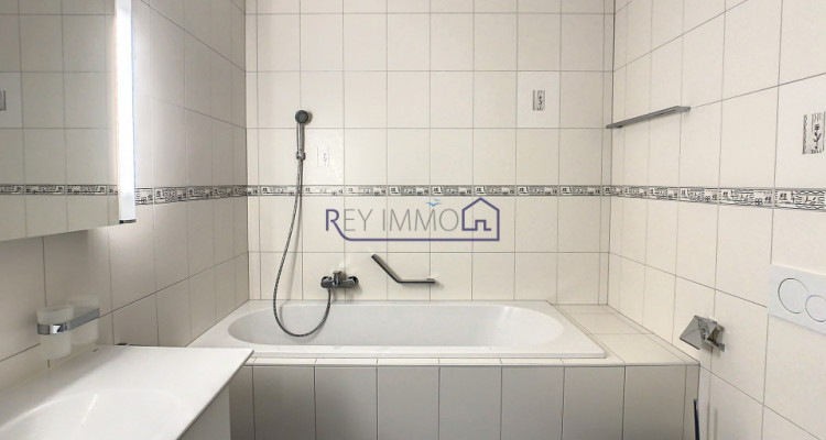 En Exclusivité ! Appartement avec terrasse & vue lac  image 7