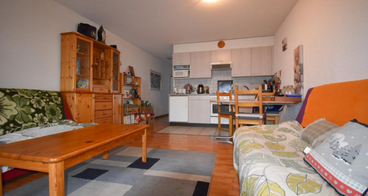 A deux pas des pistes de ski ! image 5