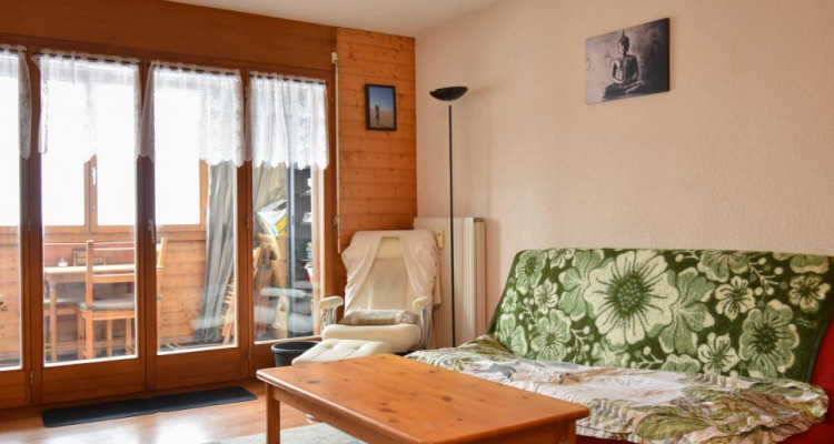 A deux pas des pistes de ski ! image 1