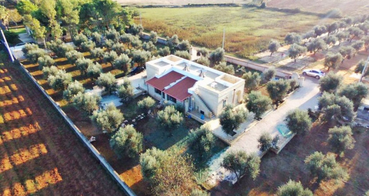 HOME SERVICE propose une villa bi-familiale dans Les Pouilles, Italie. image 1