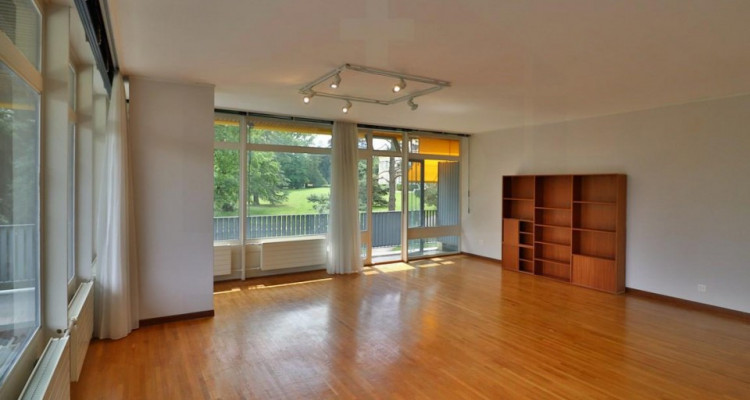 Budé - Bel appartement 2 pièces proche des Organisations Internationales image 2