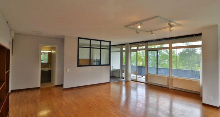 Budé - Bel appartement 2 pièces proche des Organisations Internationales image 4