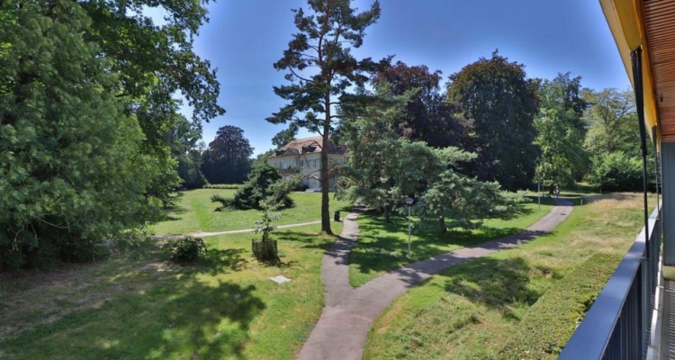 Budé - Bel appartement 2 pièces proche des Organisations Internationales image 7