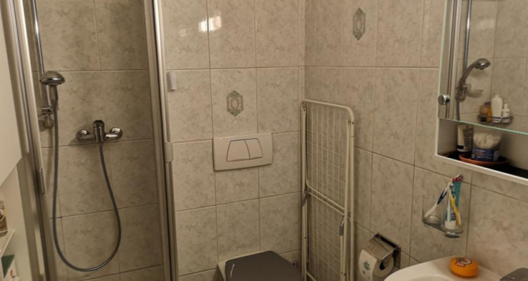 A saisir ! Bel appartement au rez-jardin image 6