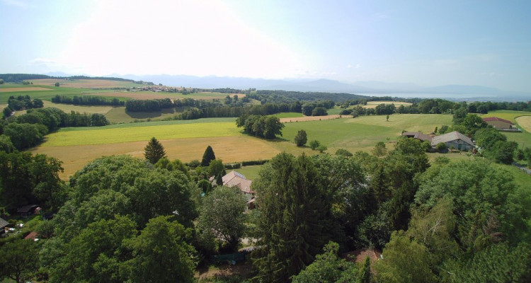 La Clairière des bois - villa C neuve sur splendide terrain verdoyant  image 8