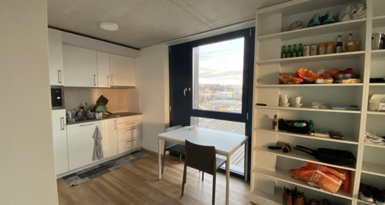 Appartement Renens - 2.5 piï¿½ces image 10