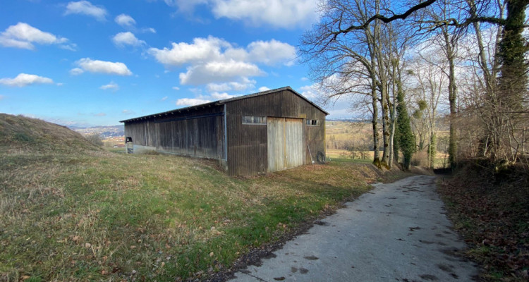 Ferme spacieuse à rénover dans un cadre champêtre avec manège équestre image 11