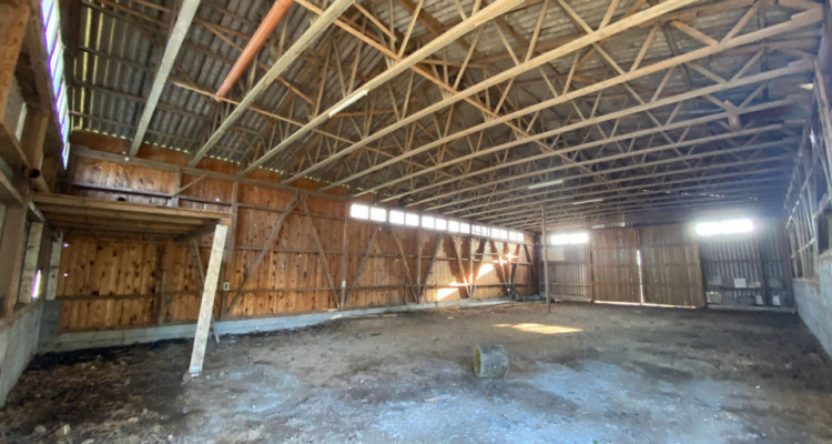 Ferme spacieuse à rénover dans un cadre champêtre avec manège équestre image 12