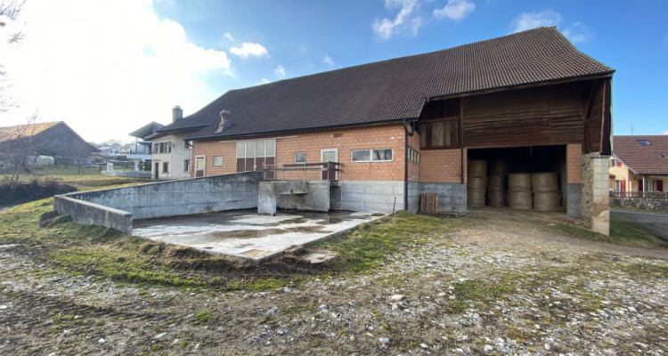 Ferme spacieuse à rénover dans un cadre champêtre avec manège équestre image 14
