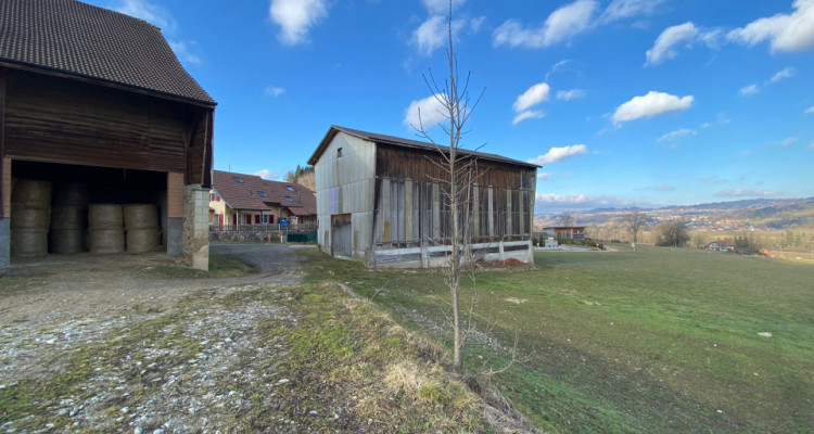 Ferme spacieuse à rénover dans un cadre champêtre avec manège équestre image 15