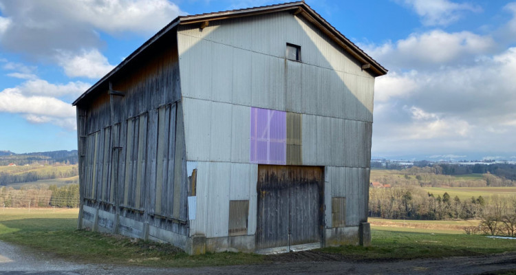 Ferme spacieuse à rénover dans un cadre champêtre avec manège équestre image 16
