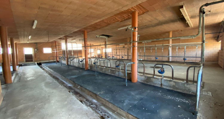 Ferme spacieuse à rénover dans un cadre champêtre avec manège équestre image 17