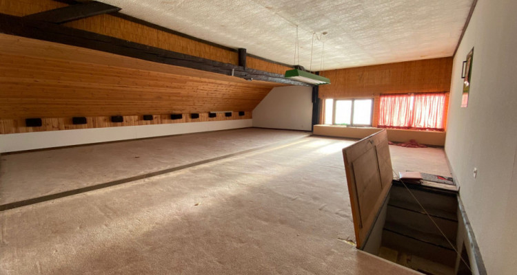 Ferme spacieuse à rénover dans un cadre champêtre avec manège équestre image 18