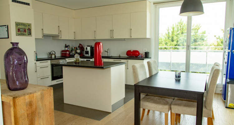 A louer, attique de 4.5 pièces à Veyrier. image 4