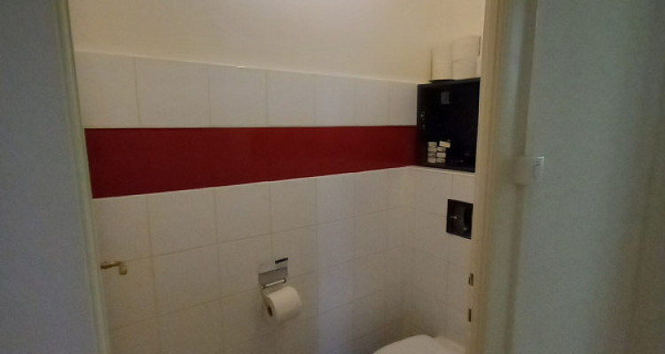 Magnifique 4.5 pièces à Grange-canal / haut des Eaux-vives image 13