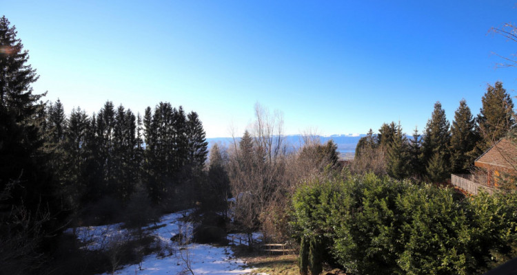 Chalet de 9 pièces surplombant Genève, à Lucinges, France. image 12