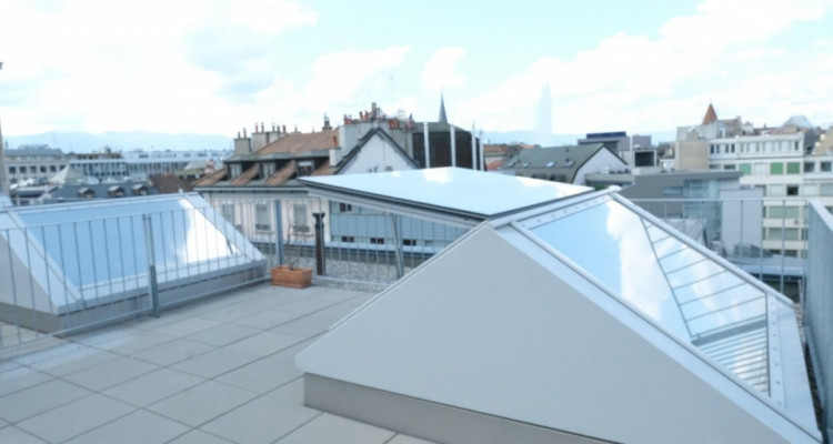 Magnifique duplex avec du cachet / Rooftop avec vue sur Jet dEau image 10