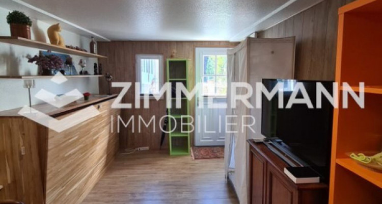 Appartement Versoix - 1 pièce image 5