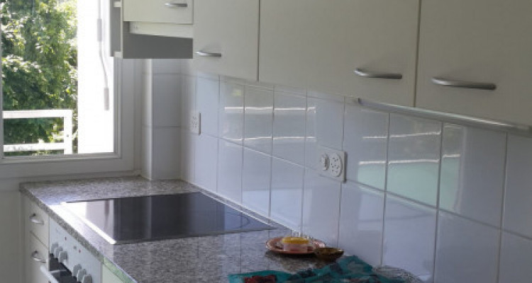 Appartement Vernier - 4 pièces image 5