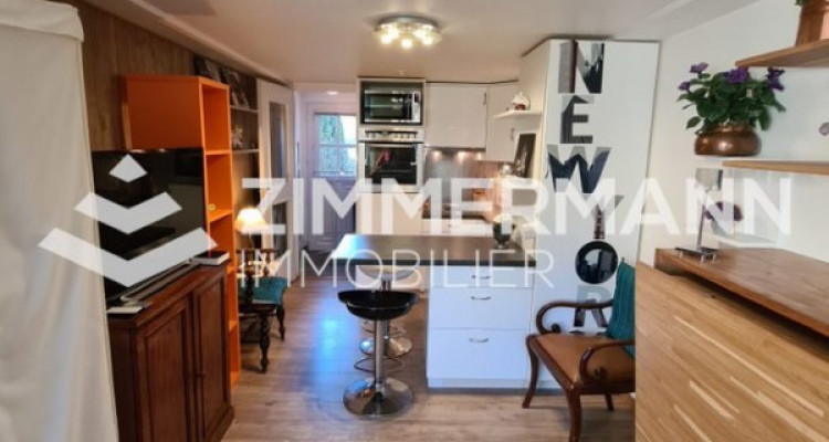 Appartement Versoix - 1 pièce image 1