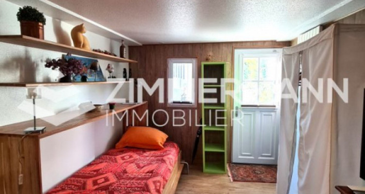 Appartement Versoix - 1 pièce image 4