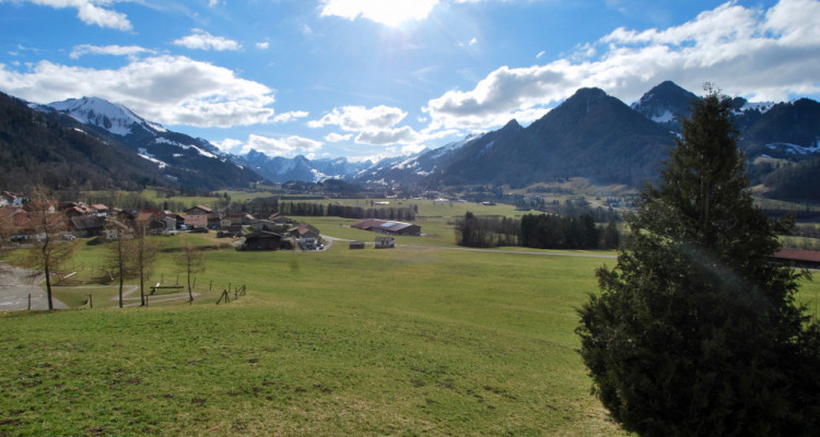 Bel appartement de 4.5 pièces à Estavannens dans un quartier paisible  image 12