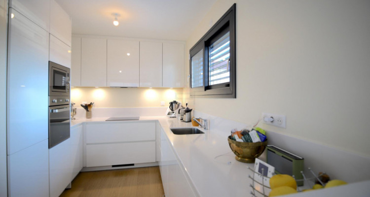 Gaillard, France voisine, Maison individuelle contemporaine de 4 chambres image 3