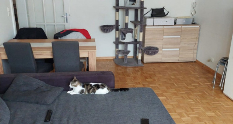 Appartement Couvet - 3 pièces image 3