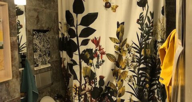 Appartement Saint-Sulpice - 2 pièces image 6