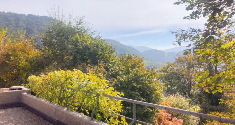 Seltene Gelegenheit: 9.5-Zimmer Zwei-Generationenhaus image 5