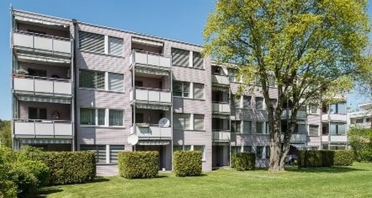 Appartement Illnau-Effretikon - 2.0 pièces image 1