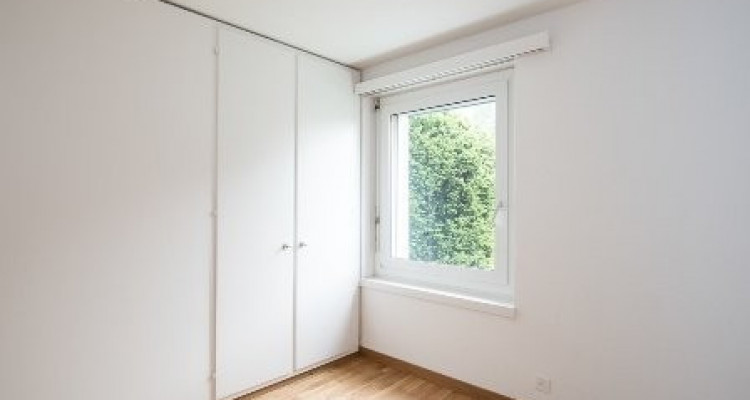 Appartement Illnau-Effretikon - 2.0 pièces image 3