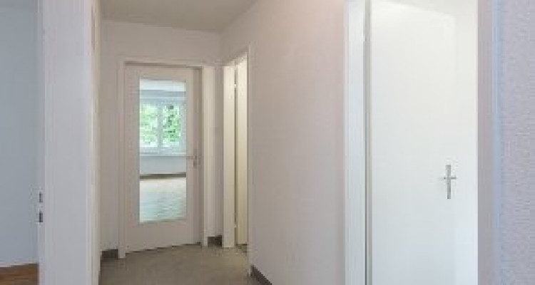 Appartement Illnau-Effretikon - 2.0 pièces image 6