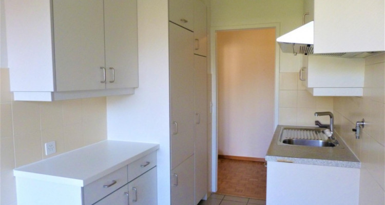 Appartement rénové de 4P rue des Battoirs. image 8