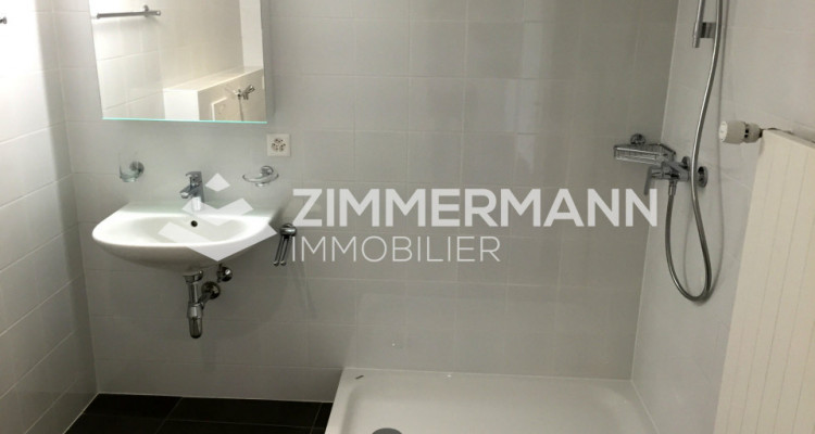 Appartement Founex - 1 pièce image 2