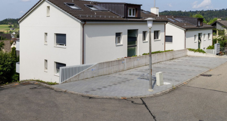 Appartement Hedingen - 1.5 pièces image 1