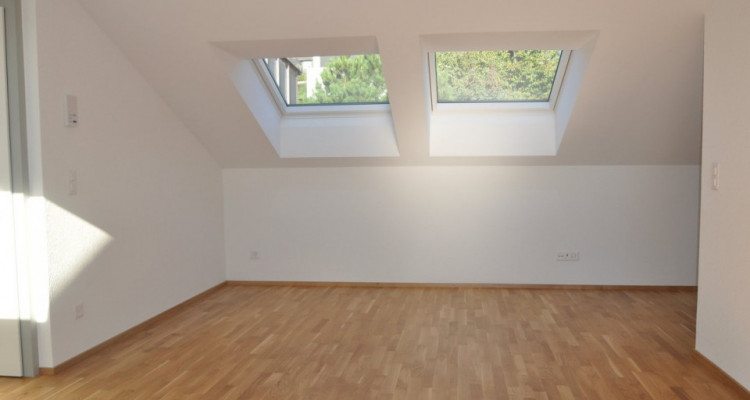 Appartement Hedingen - 1.5 pièces image 3